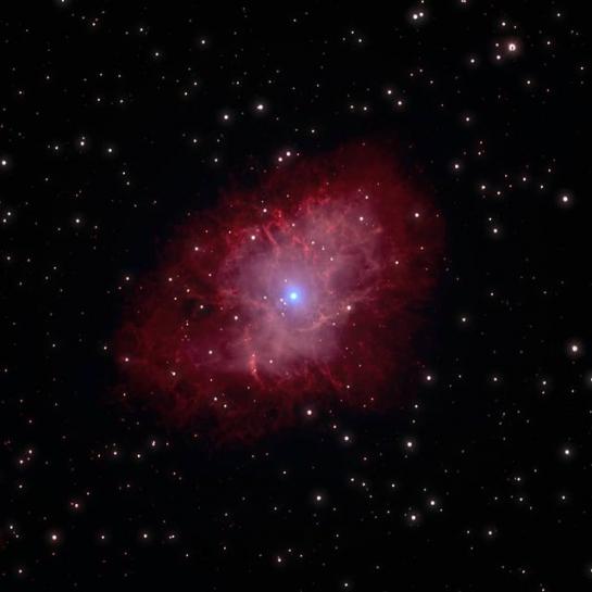 The Crab Nebula by Matthew Howarth via Instagram